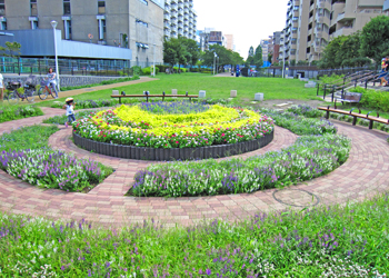 大横川親水公園の写真